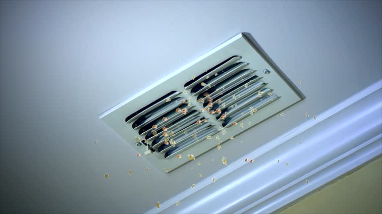 Best Residential Air Duct Cleaning  in Escatawpa, MS