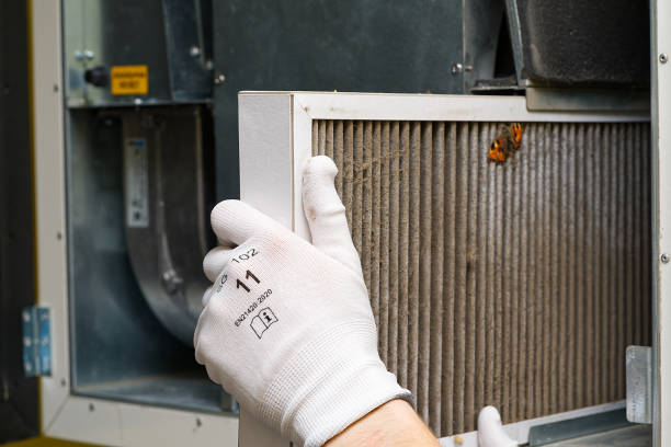 Best Dryer Vent Cleaning Services  in Escatawpa, MS