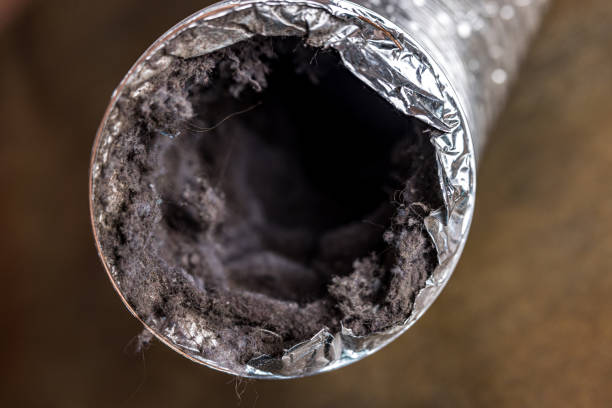 Best Air Duct Cleaning Near Me  in Escatawpa, MS