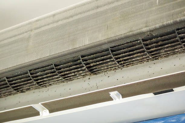 Best Commercial HVAC Duct Cleaning  in Escatawpa, MS